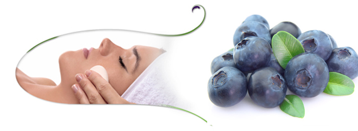 Blueberry Facials in and near Ft Myers Florida